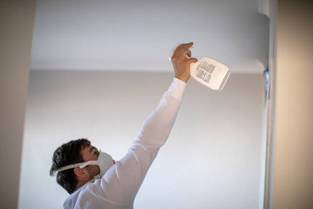 Best Emergency Mold Removal  in Helper, UT