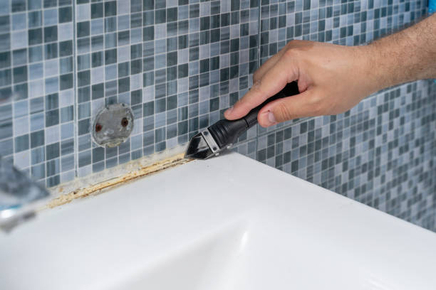 Mold Removal and Inspection in Helper, UT