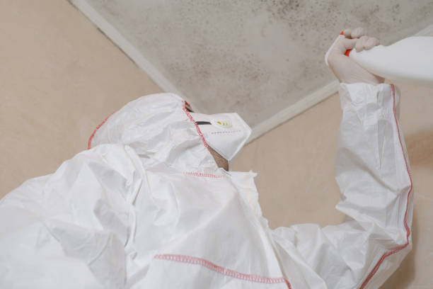 Best Mold Testing  in Helper, UT