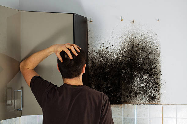 Best Mold Cleaning Services  in Helper, UT